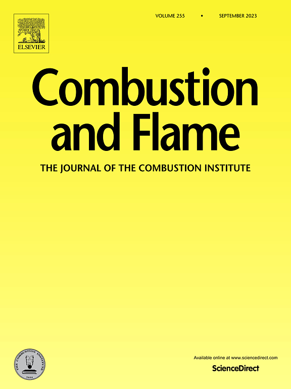 Go to journal home page - Combustion and Flame